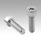 Socket head screws with hexalobular socket DIN EN ISO 14579