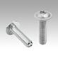 Screws with flattened pan head and hexalobular socket similar to DIN 34805, Form B