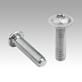 Screws with flattened pan head and hexalobular socket, similar to DIN 34805