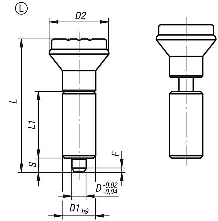 Indexing plungers, steel or stainless steel, smooth version without collar, with plastic mushroom grip and cap, no locking slot