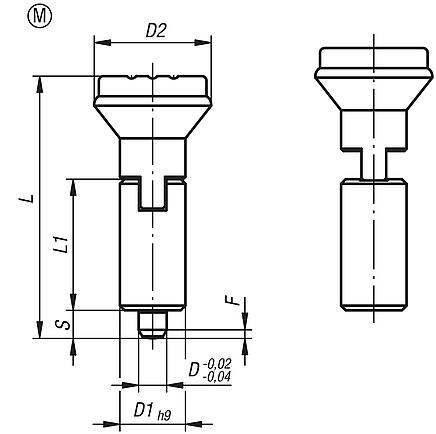 Indexing plungers, steel or stainless steel, smooth version without collar, with plastic mushroom grip and cap, with locking slot