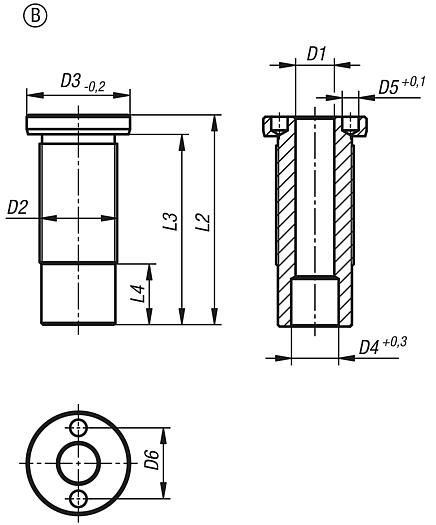 球形拉销的固定衬套，不锈钢，平头, B 型