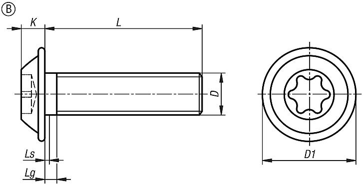 Screws with flattened pan head and hexalobular socket similar to DIN 34805, Form B