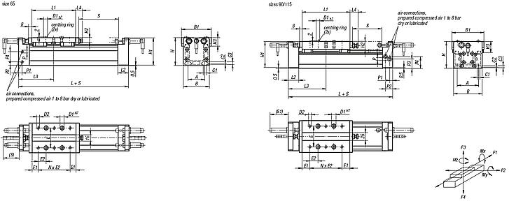 Linear gantry module with rail guides