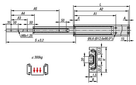 铝制伸缩滑轨用于侧方安装，全部伸出，负载能力最大 300 kg