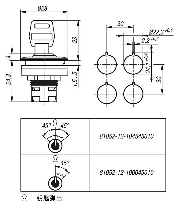 键控钥匙开关，内置款式，Ø 22.3 mm 用于接触元件的 RRJ 型
