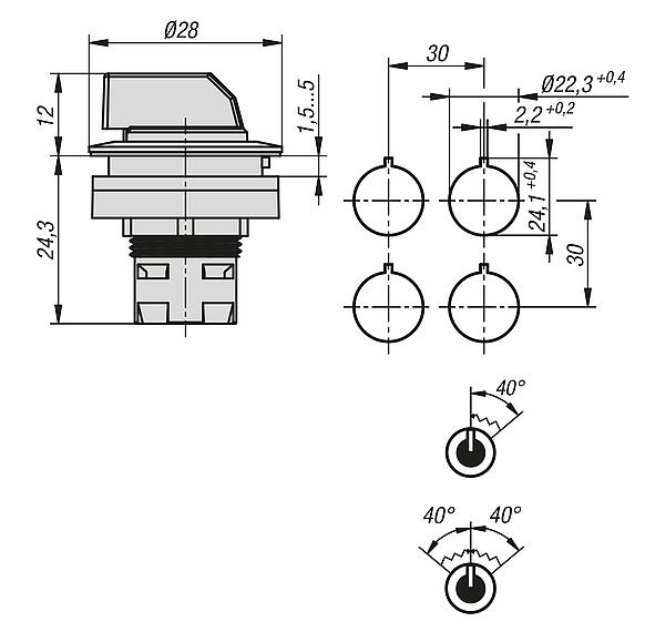 键控选择开关，内置款式，Ø 22.3 mm 用于接触元件的 RRJ 型